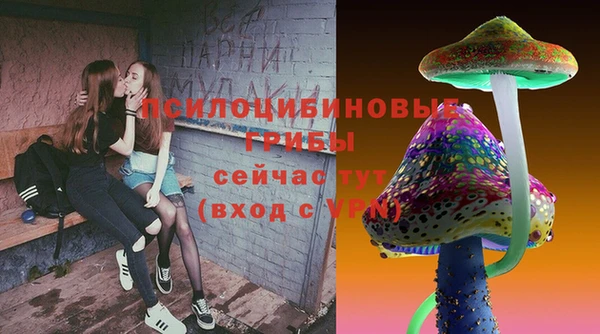 гидропоника Алексеевка